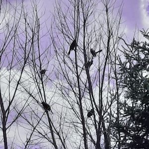 Meet your Posher, Cn